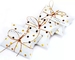 花嫁の新郎の服の結婚式の好意キャンデーは260gsmチョコレートのための空のギフト用の箱を囲む